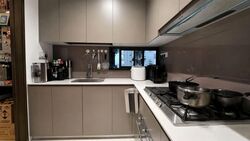 Grandeur Park Residences (D16), Condominium #592517471